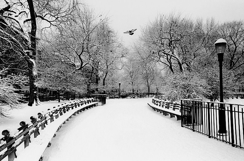 Tompkins Square, NYC 1976