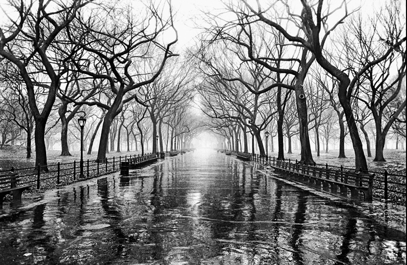 Central Park, NYC 1991