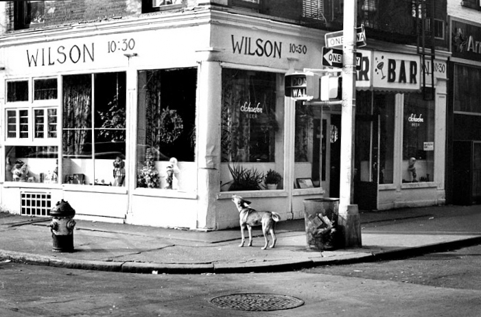 Spring Street, NYC 1974