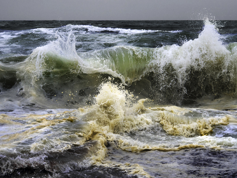 Point Reyes, CA 2013