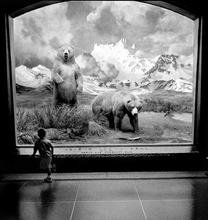 American Museum of Natural History, NYC 2004