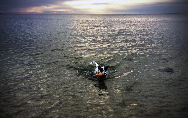 Cape Cod, Chapoquoit Beach