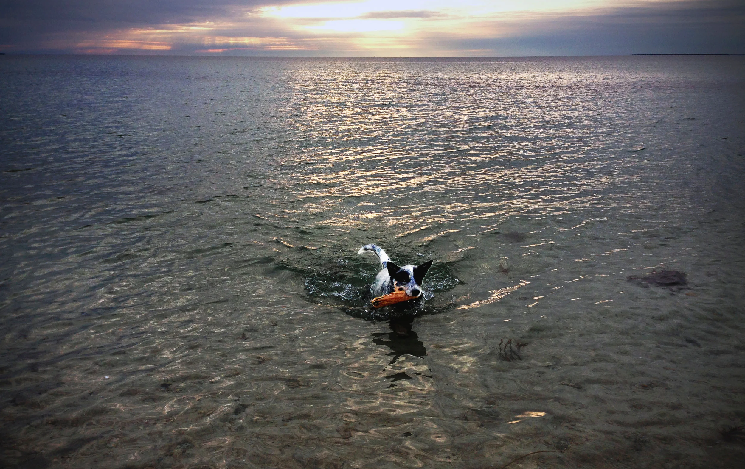 Chapoquoit Beach, Falmouth, MA 2017