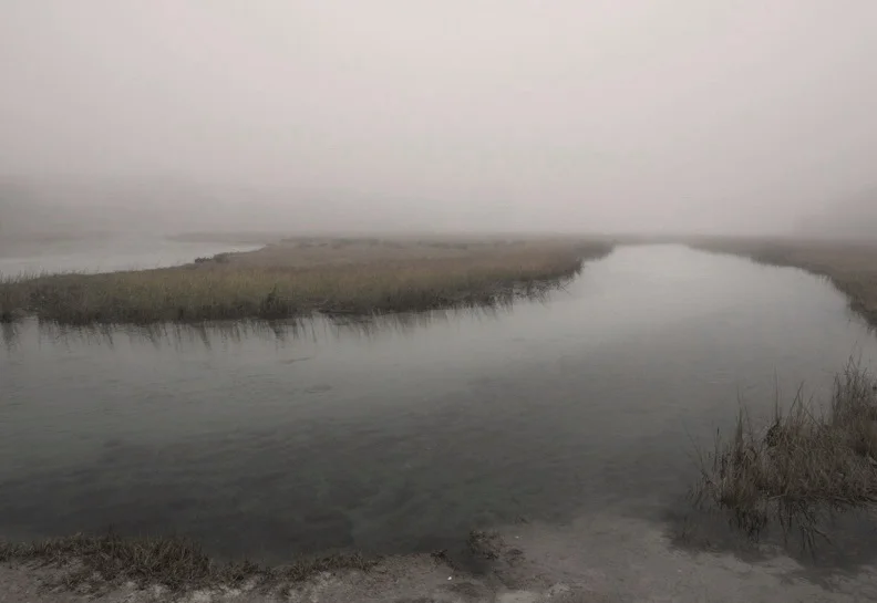 Cape Cod, Wood Neck Marsh 2014