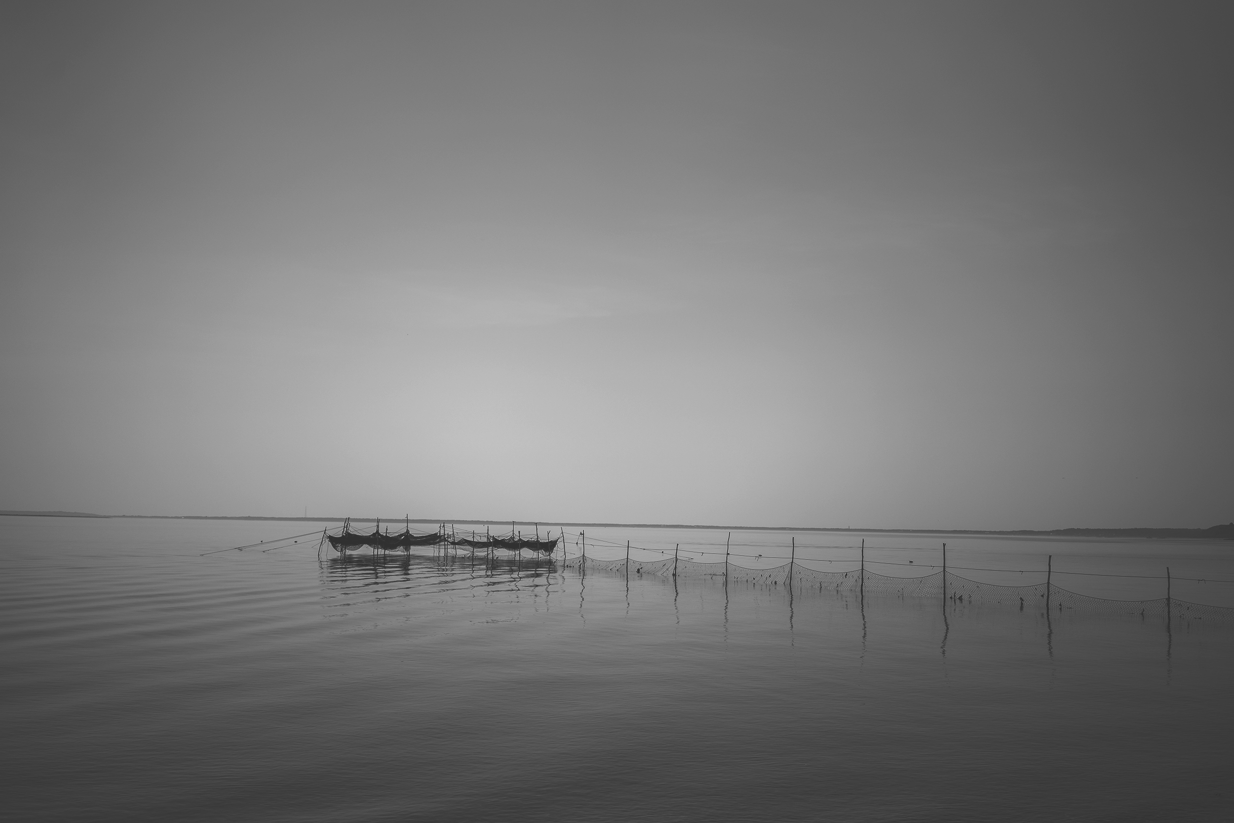 NY_Long_Island_2018_Oyster_Nets-009.jpg