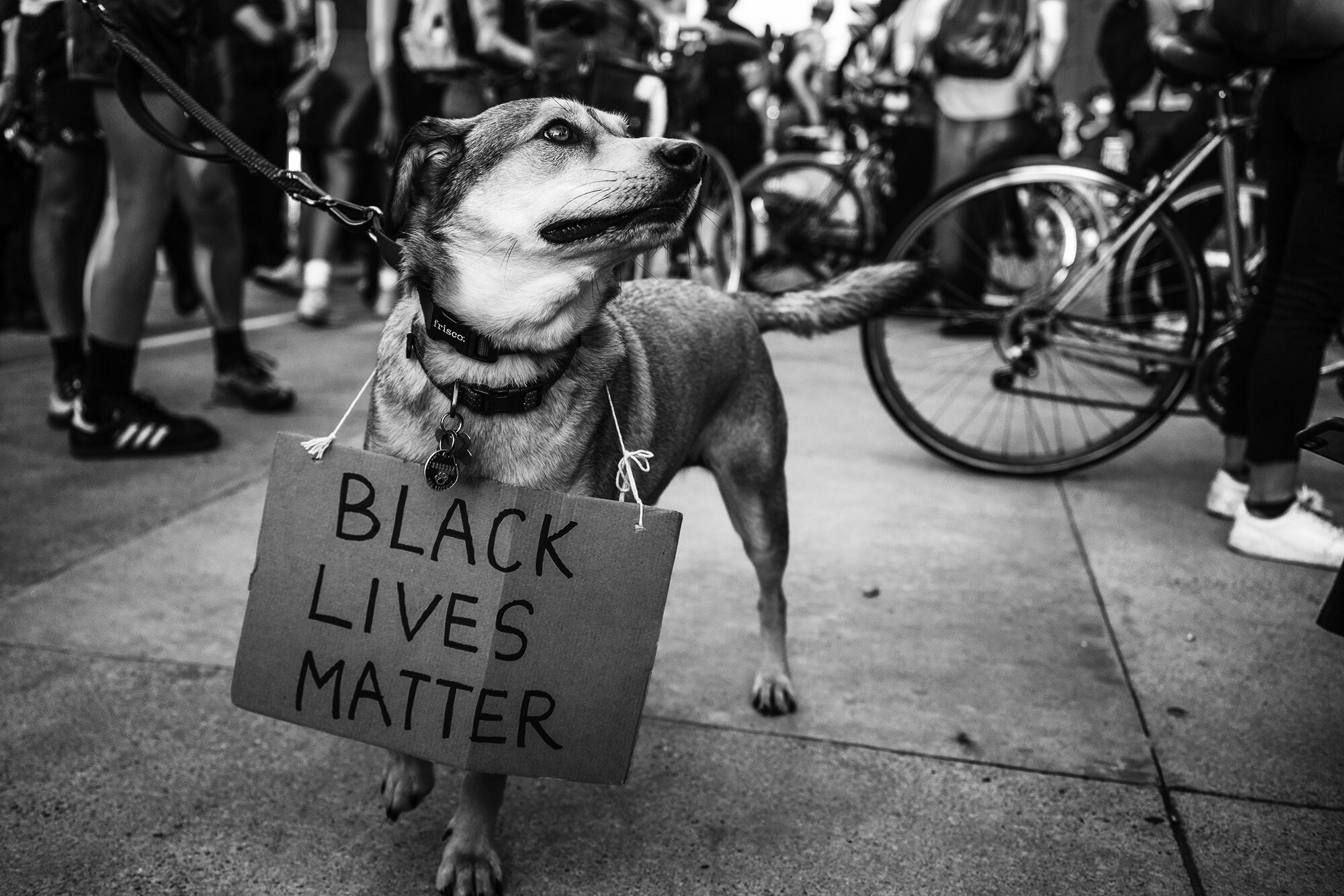 Black_Lives_Matter_May_2020-2646BW.jpg