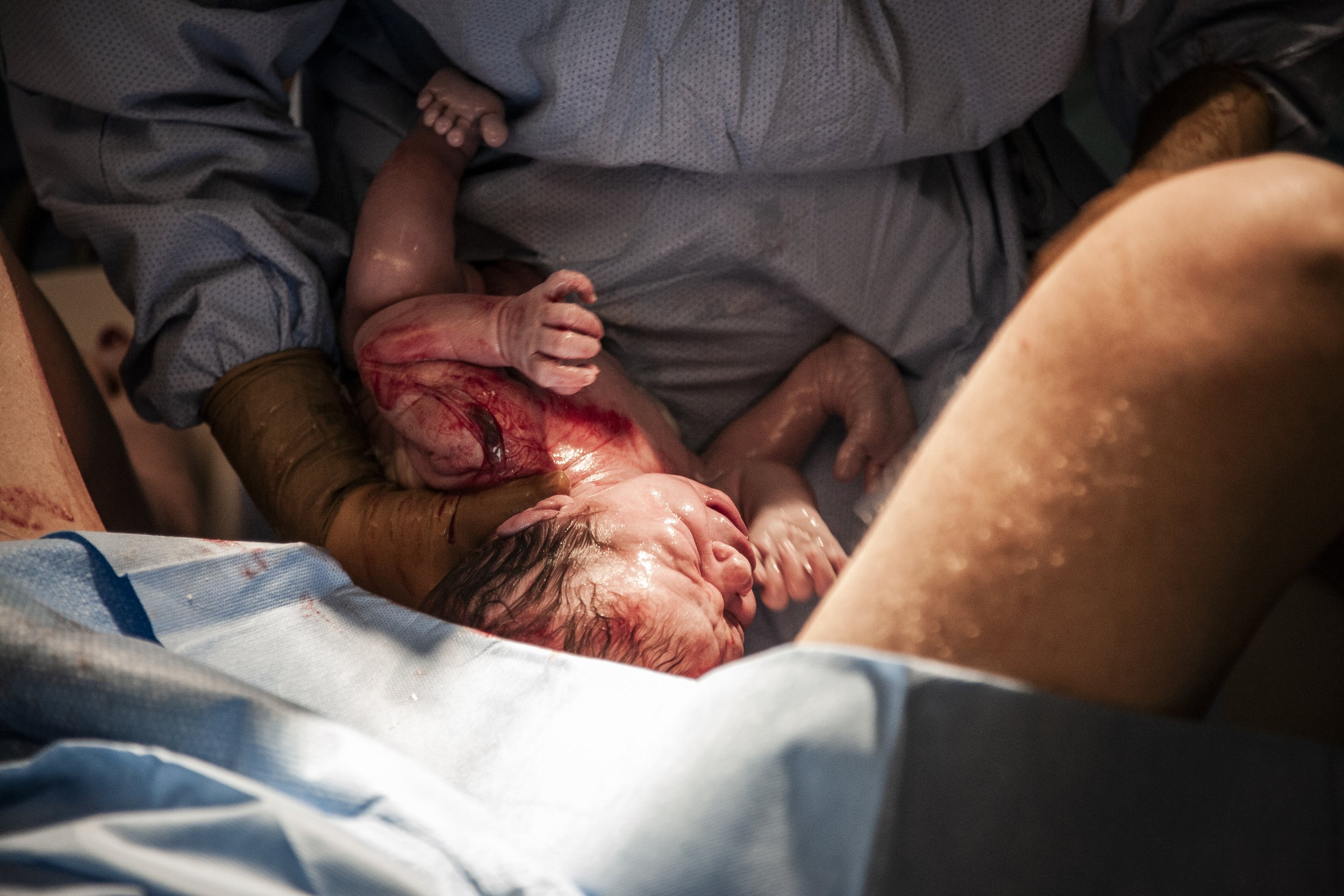 LPT_111014_025 copy.jpg