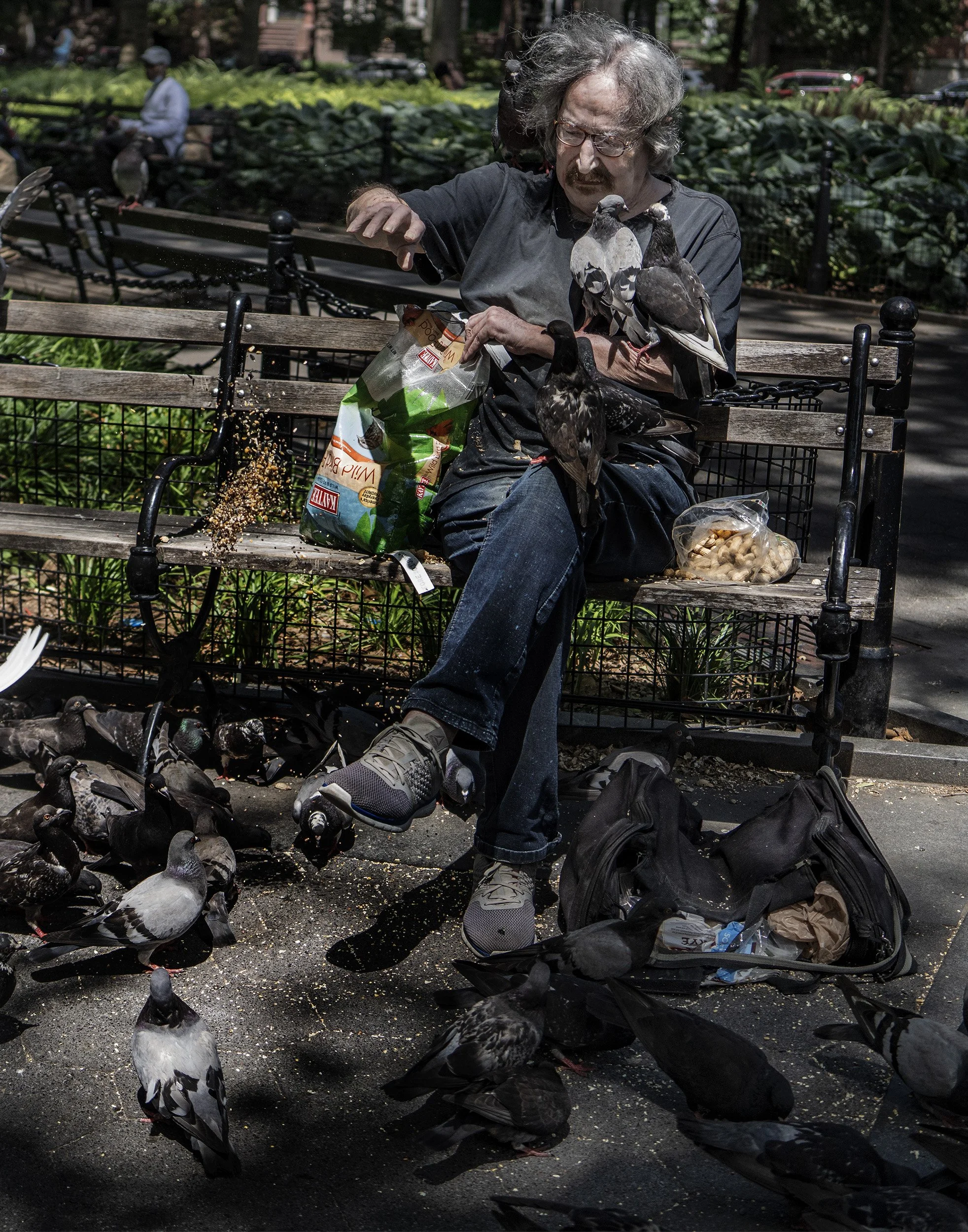 NYC_Street_2021_Pigeon_Man-001crp copy.jpg