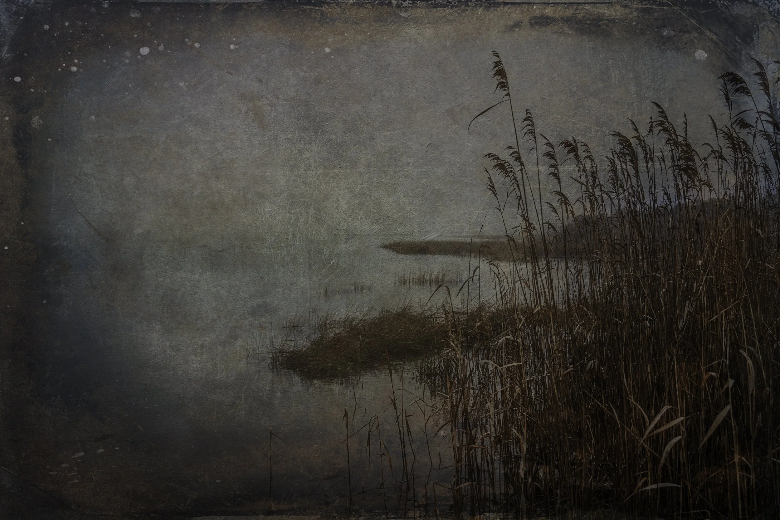Rhode_Island_Foggy_Marsh copy.jpg