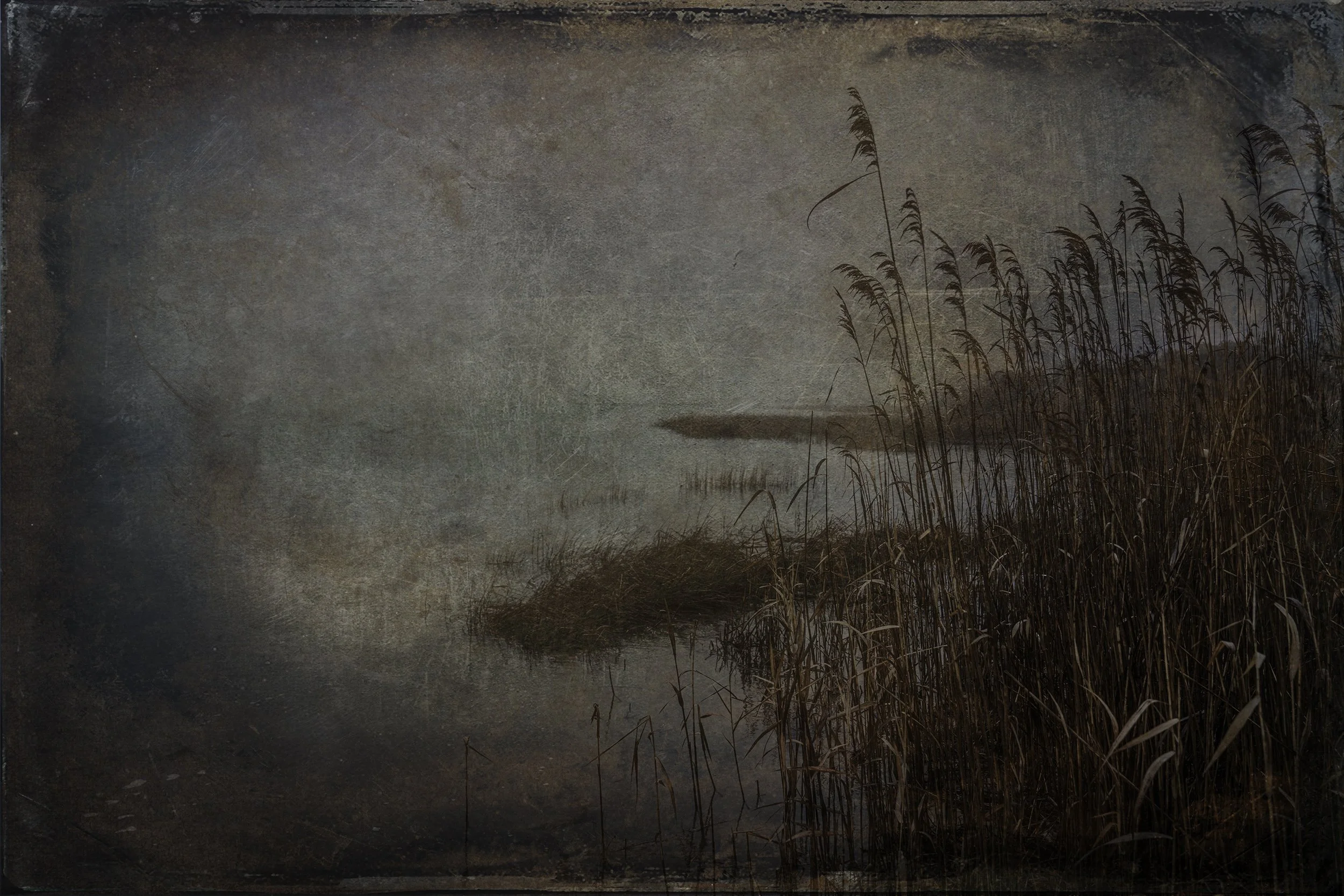 Rhode_Island_Foggy_Marsh copy.jpg