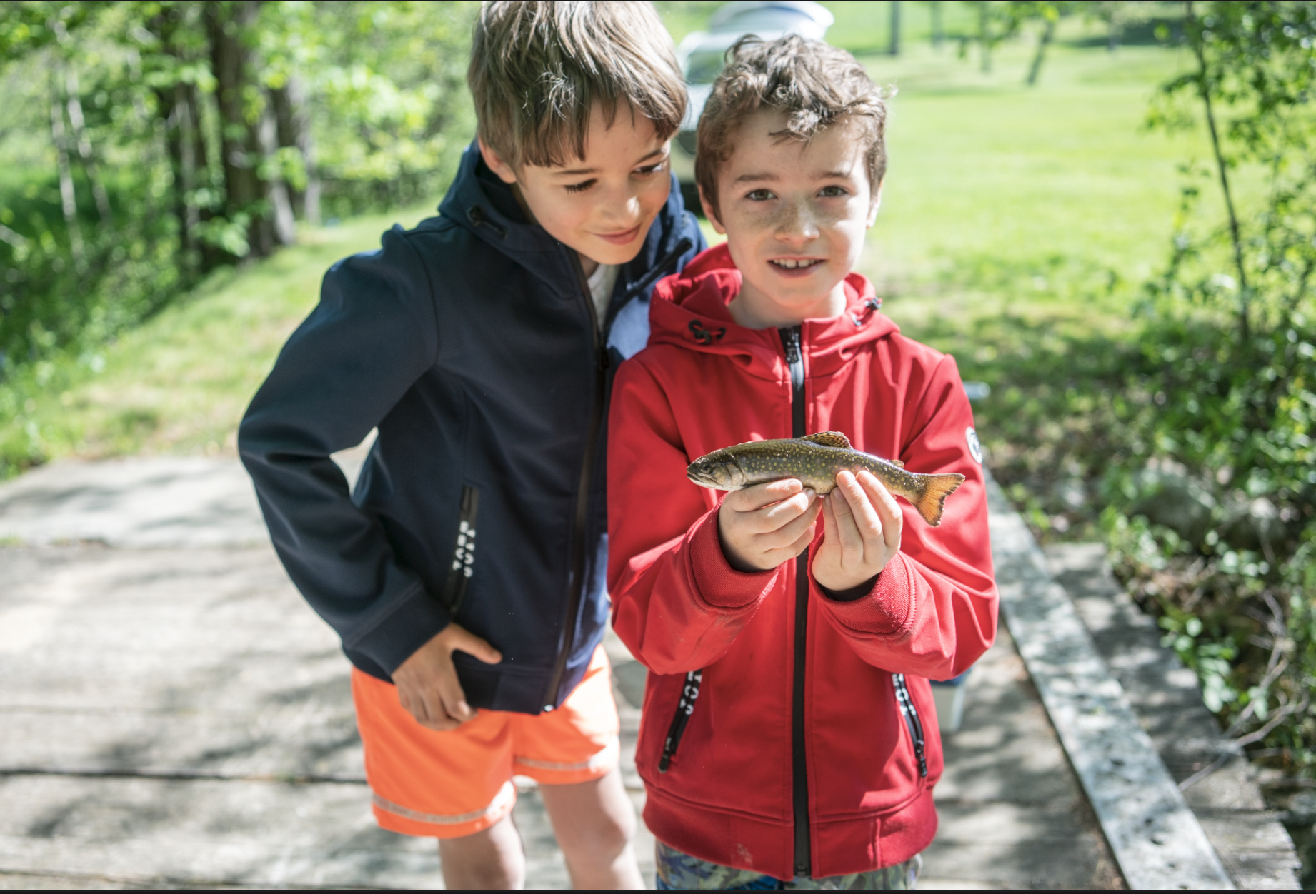 Screen Shot 2020-08-10 at 8.58.58 AM.png