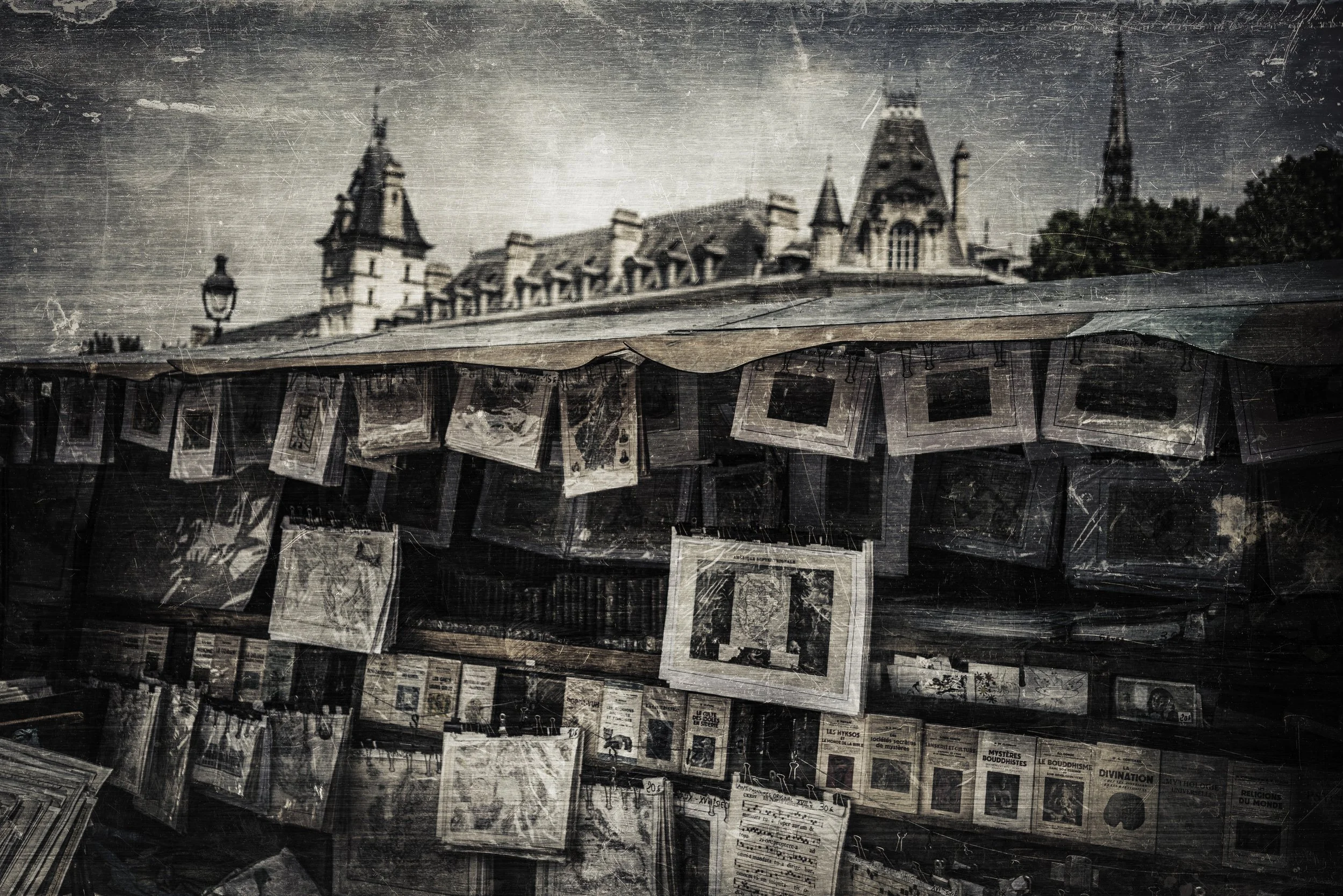 Paris_2019_Book_Shelves_St_Michel-001TinTypeForSale copy.jpg