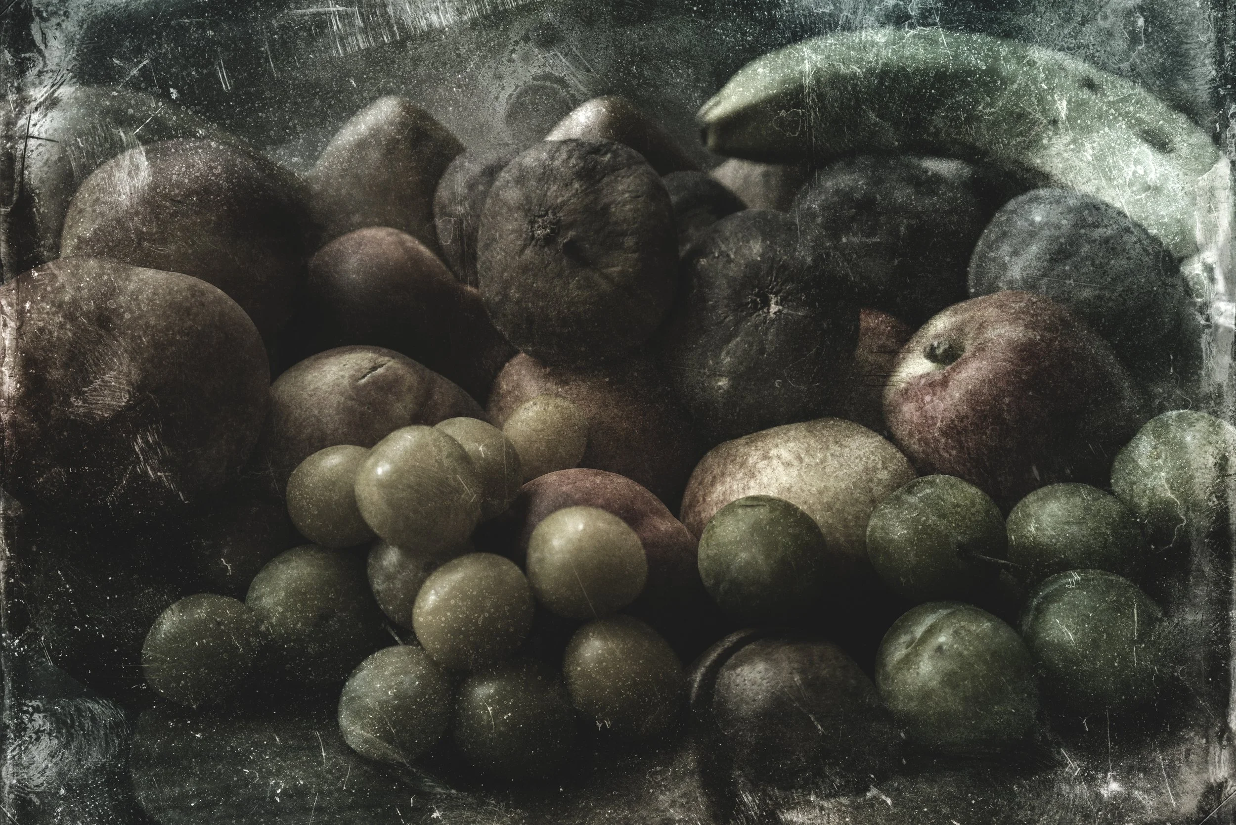 Briittany_Fruit_2018 2TinTypeC copy.jpg