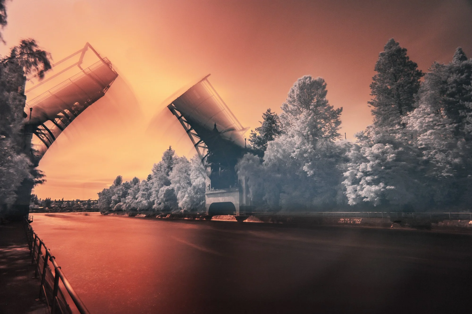 SHP_Website_Infrared_Scenes_-3.jpg