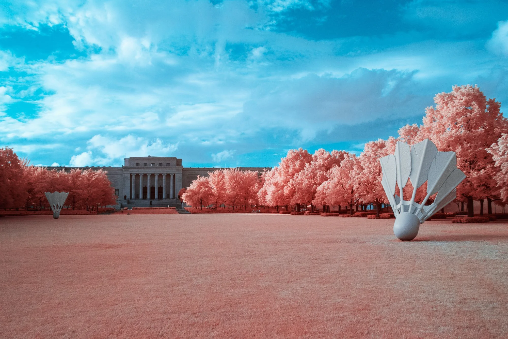 SHP_Website_Infrared_Scenes_-5.jpg
