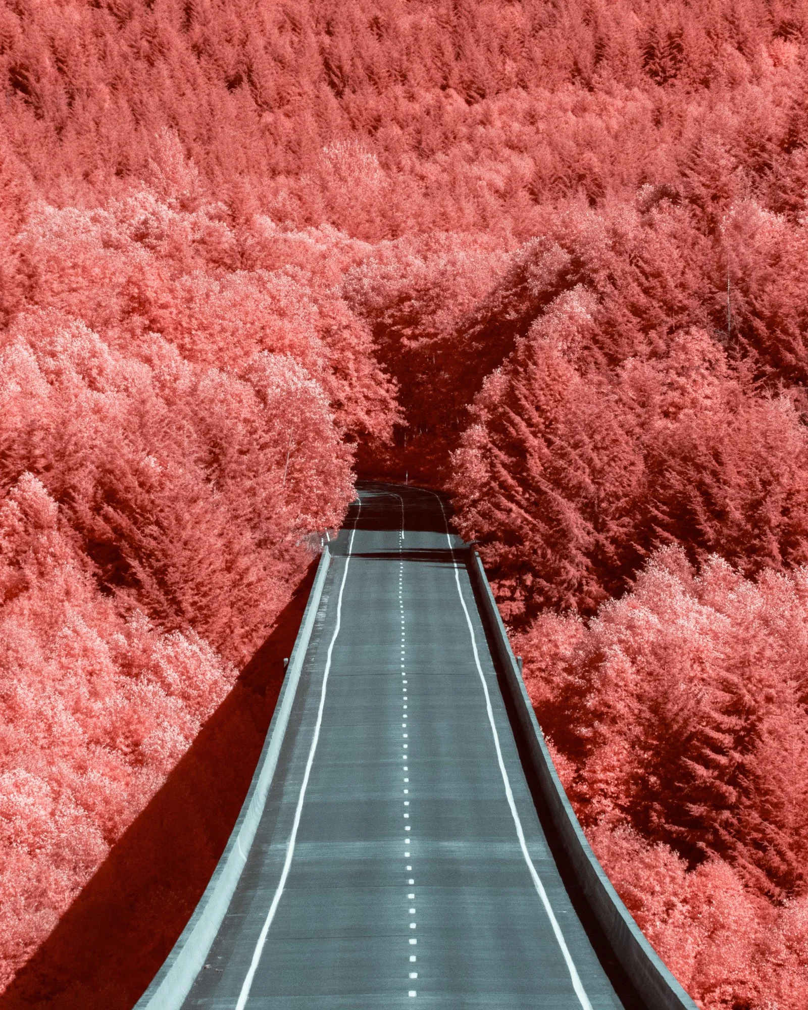 SHP_Website_Infrared_Scenes_-4.jpg