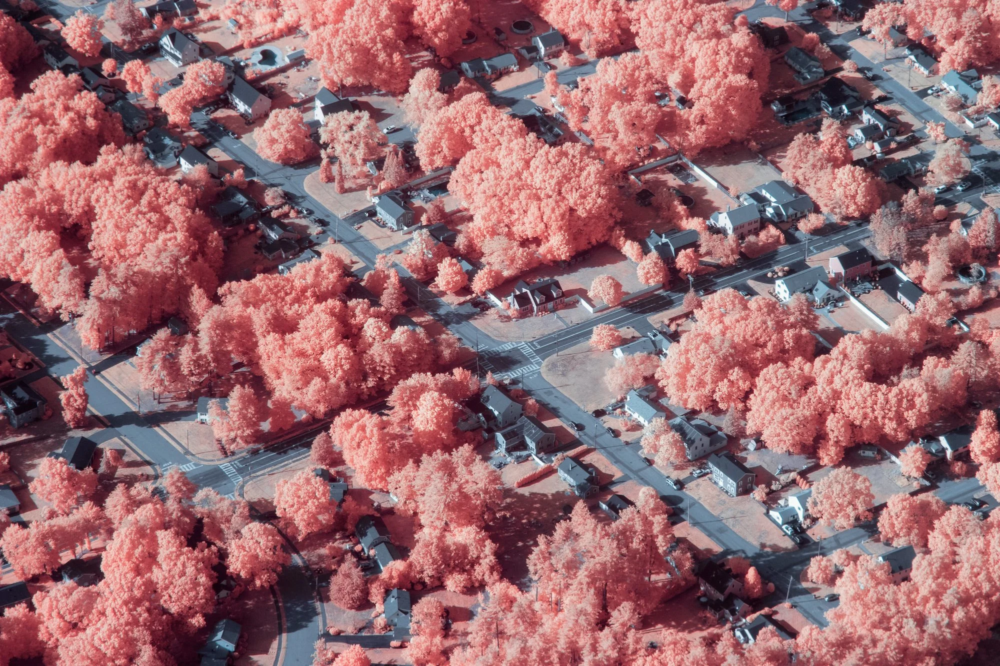 SHP_Website_Infrared_Scenes_-6.jpg