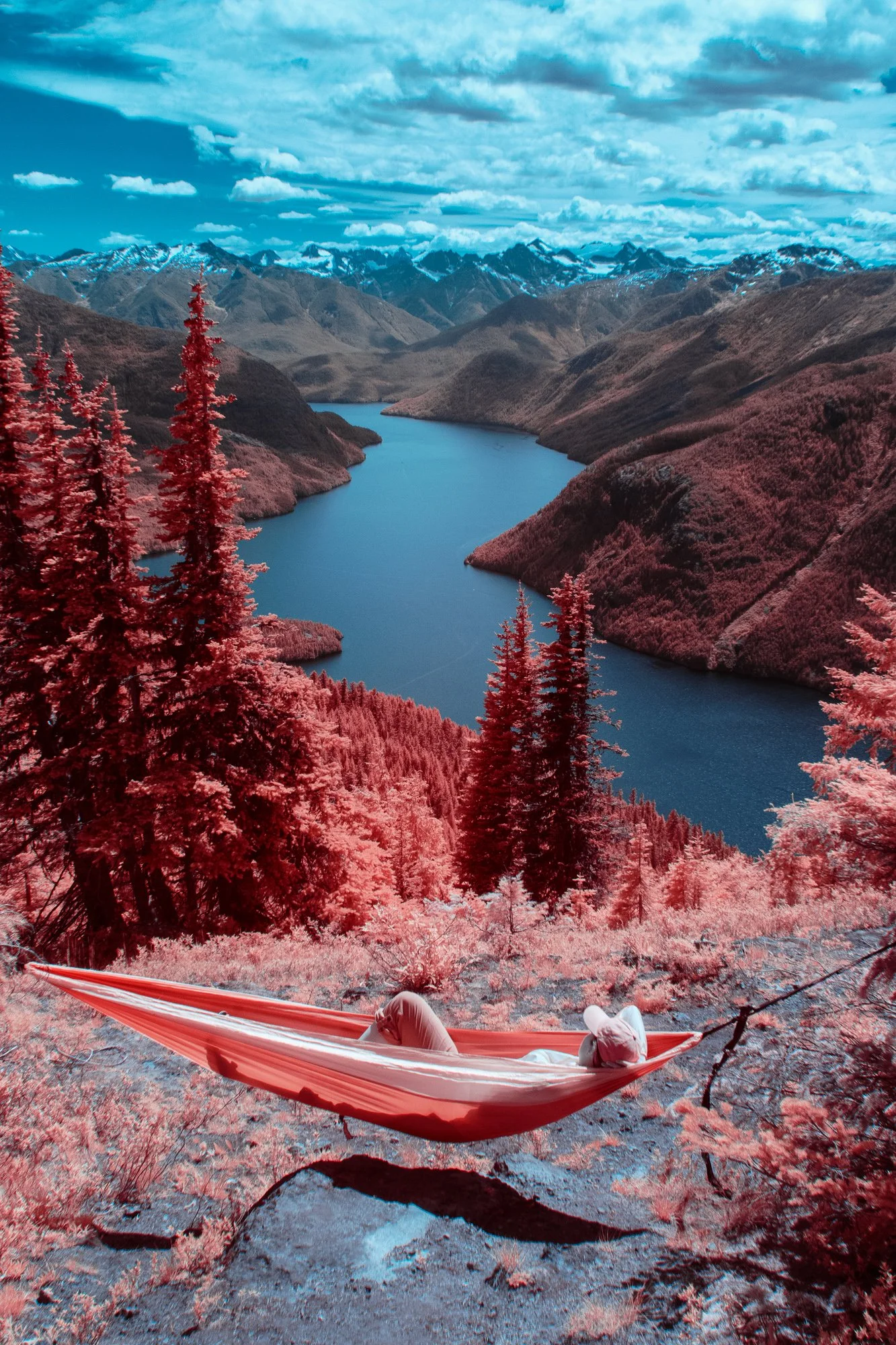 SHP_Website_Infrared_Scenes_-8.jpg