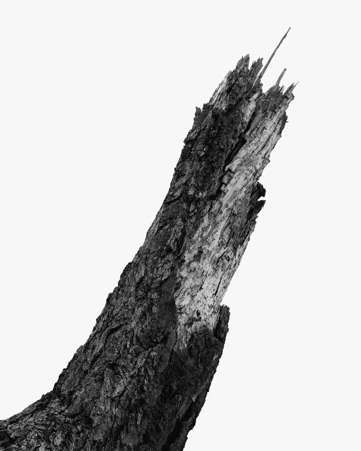 yosemite_duarte-danny_12.jpg