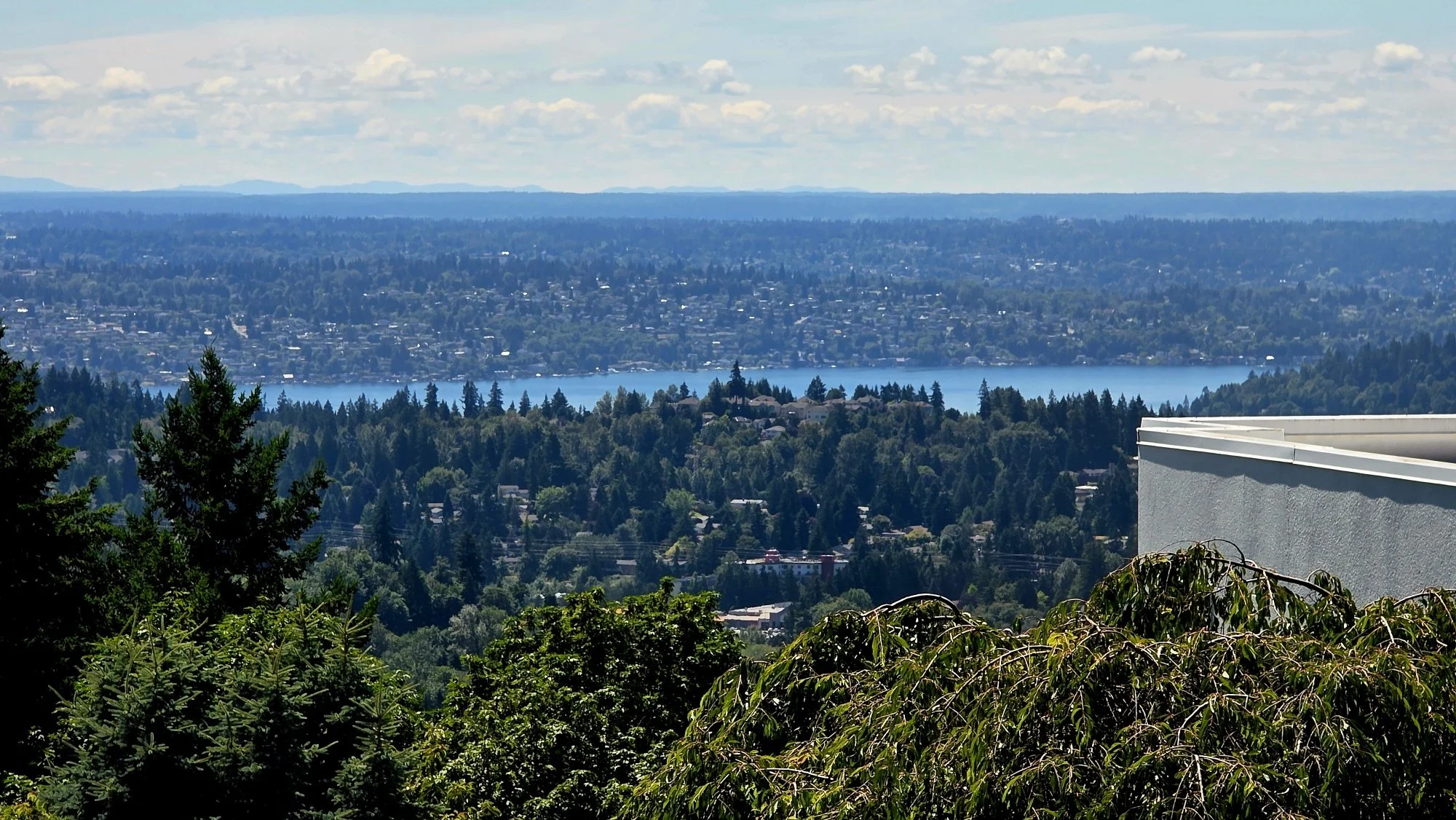 View of Lake.jpg