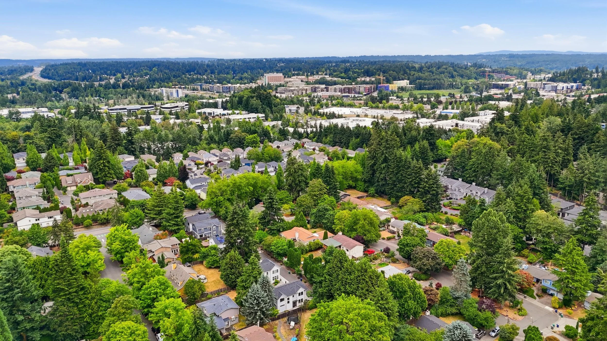 DJI_20260708130018_0096_D.jpg