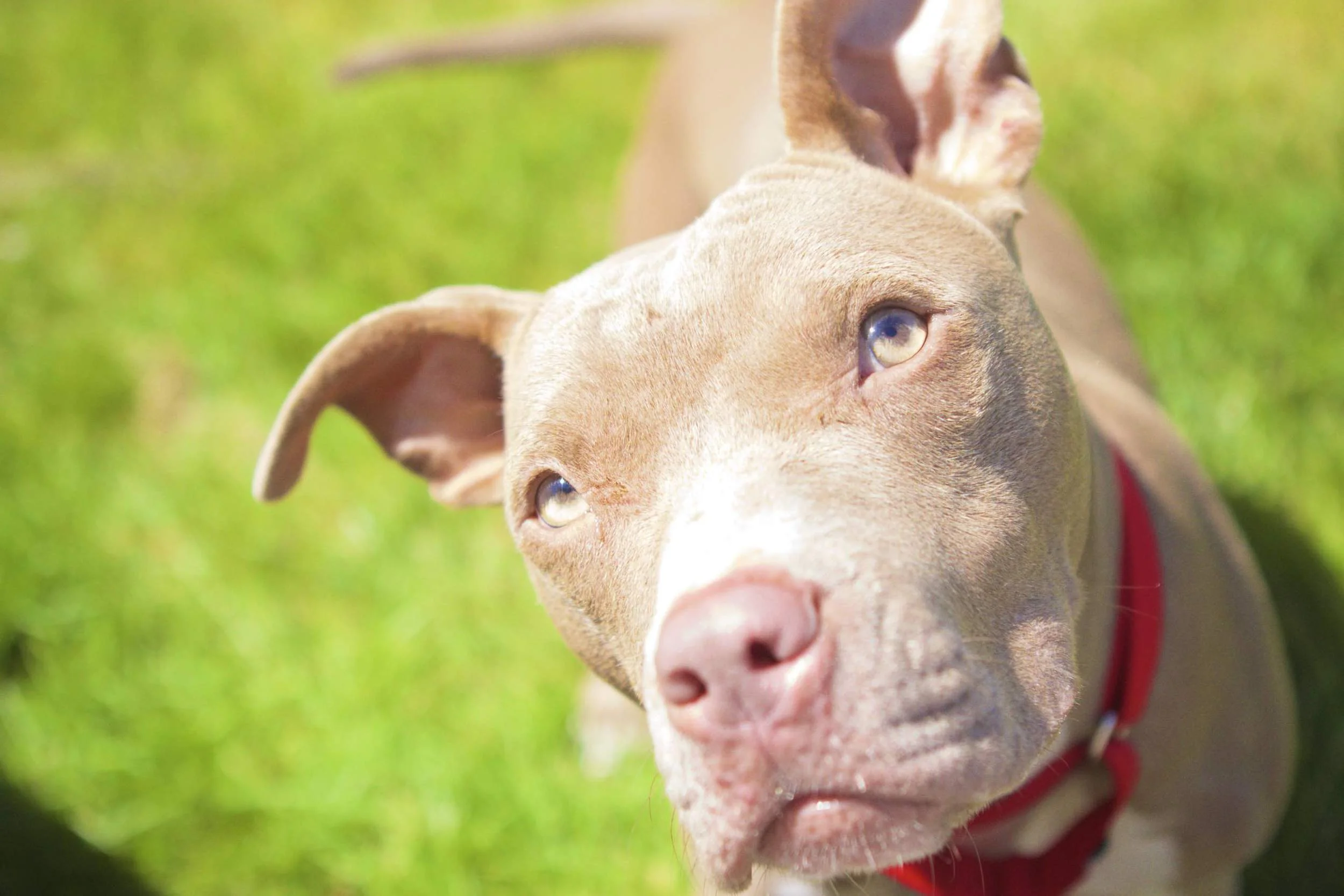 IMG_8733 - Version 2.jpg