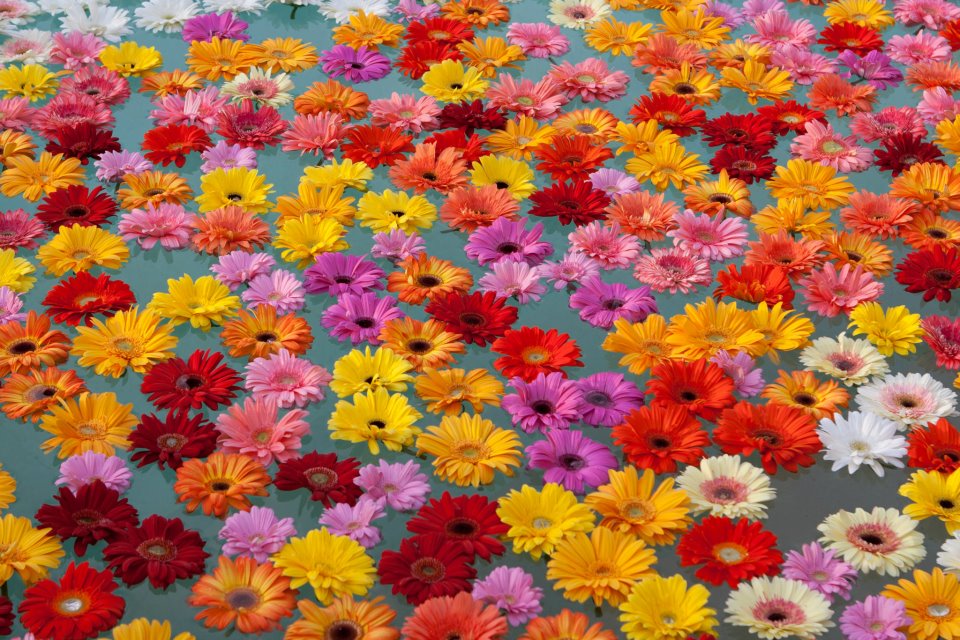 Wedding flowers: Marittima, Italy