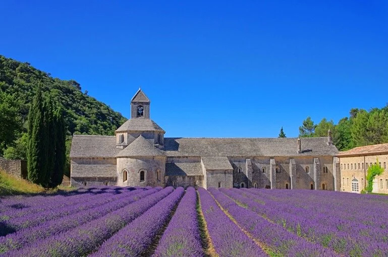 Provence Soirée: Ladies in Lavender - Defining Provence with Julian Brown