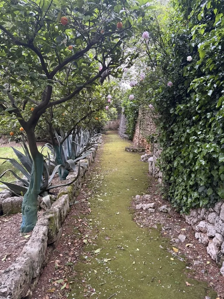 8B5B0859-599C-459E-9B0B-B170E12F1D43_1_105_c.jpeg
