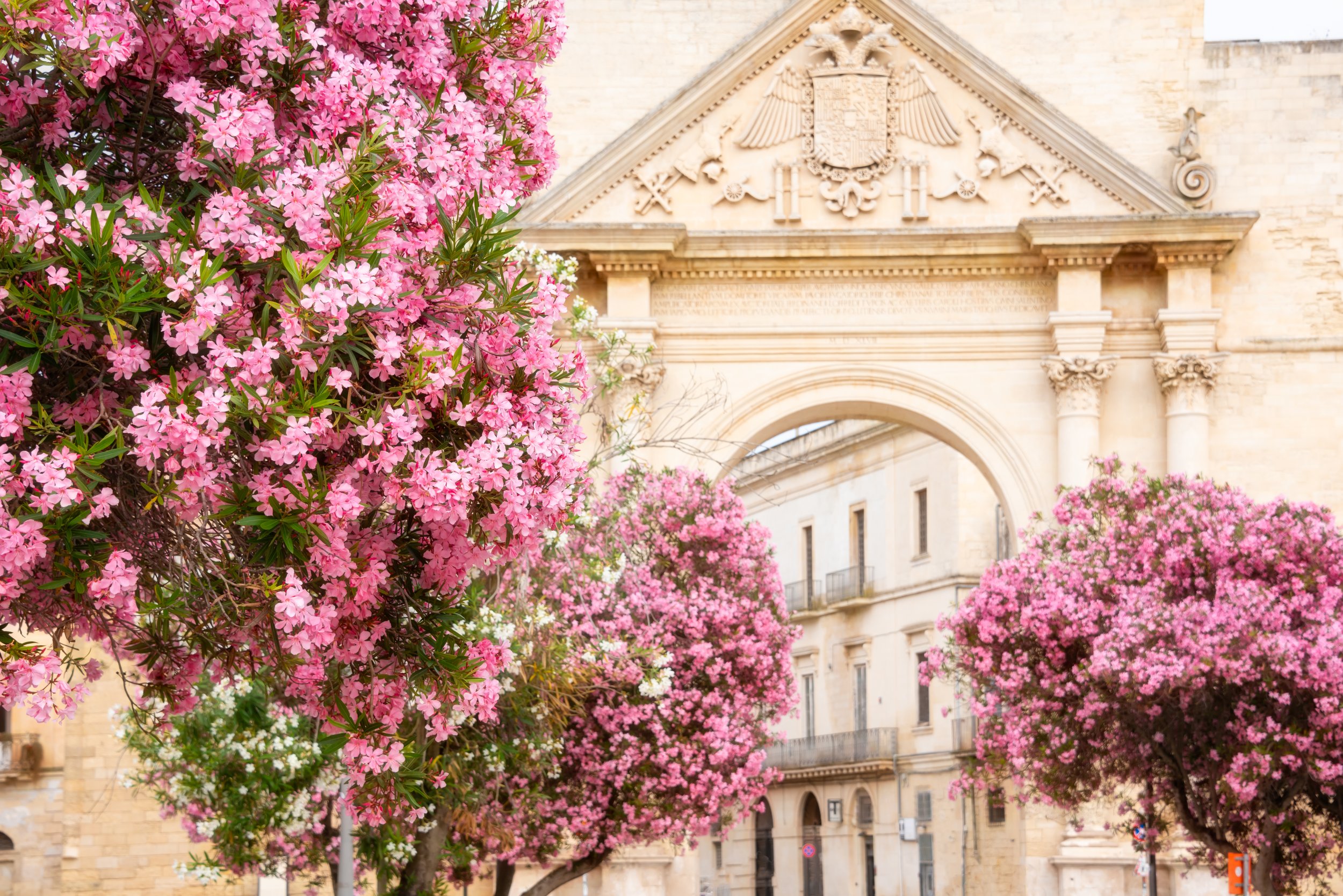 city-lecce-italy-summer-with-many-flowers.jpg