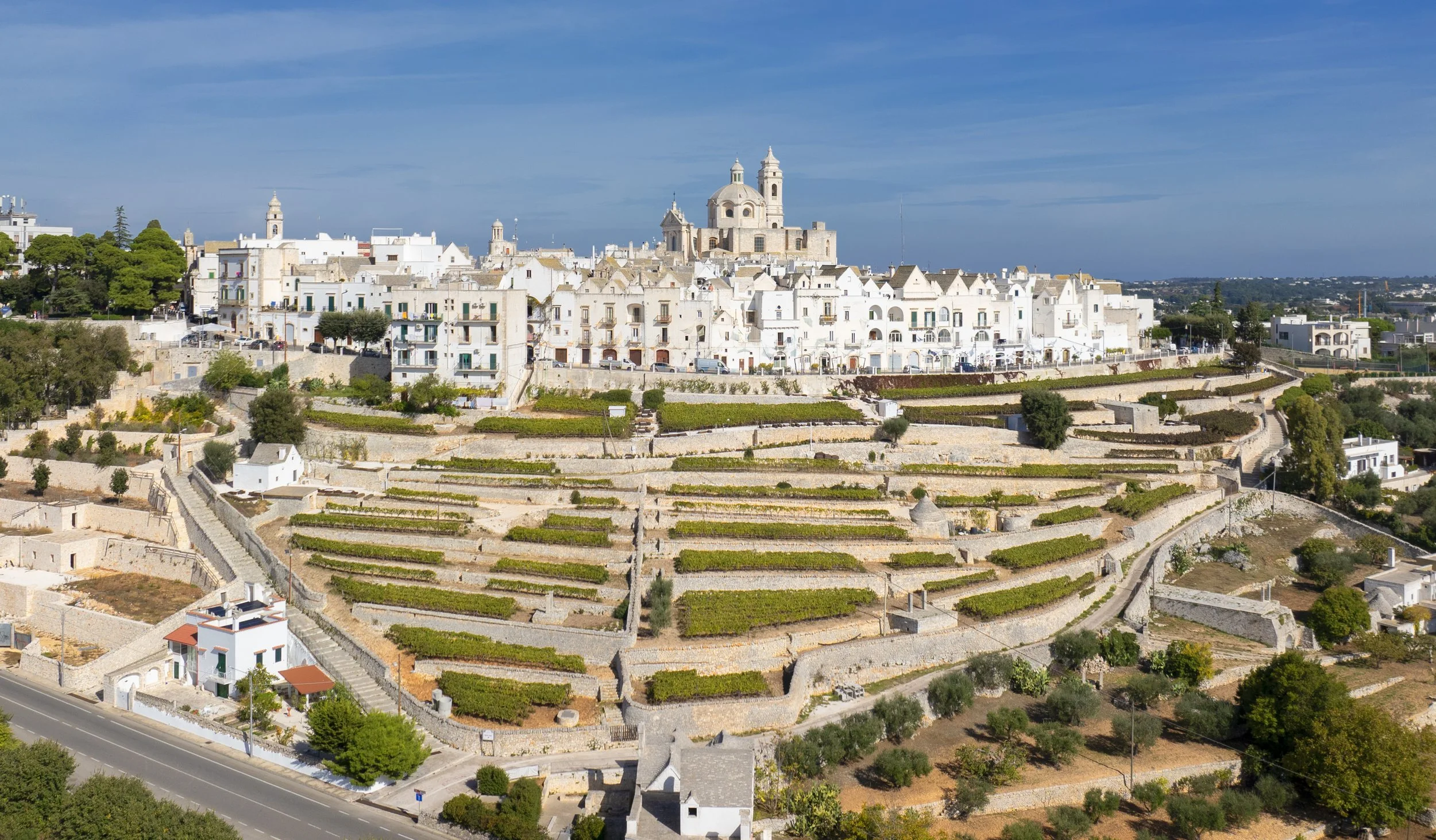 view-locorotondo-puglia.jpg