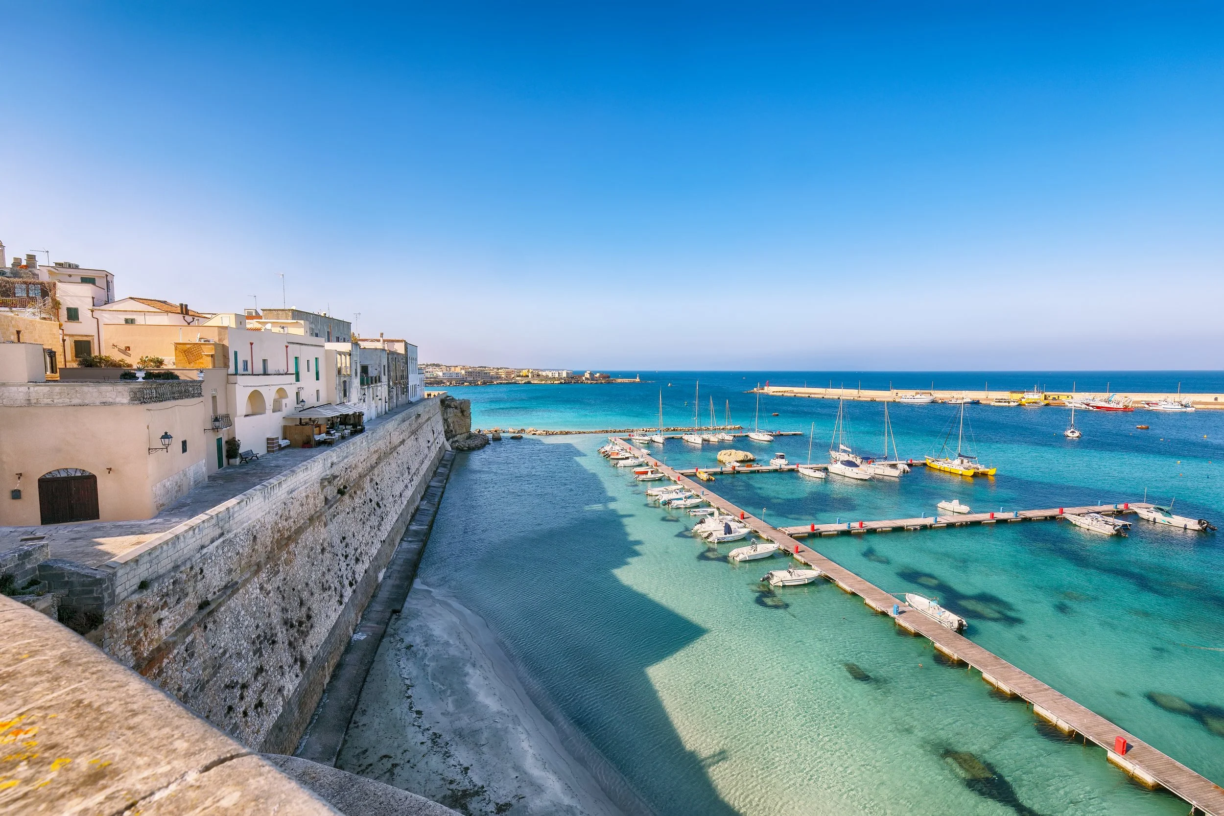 iStock-1471519846.jpg