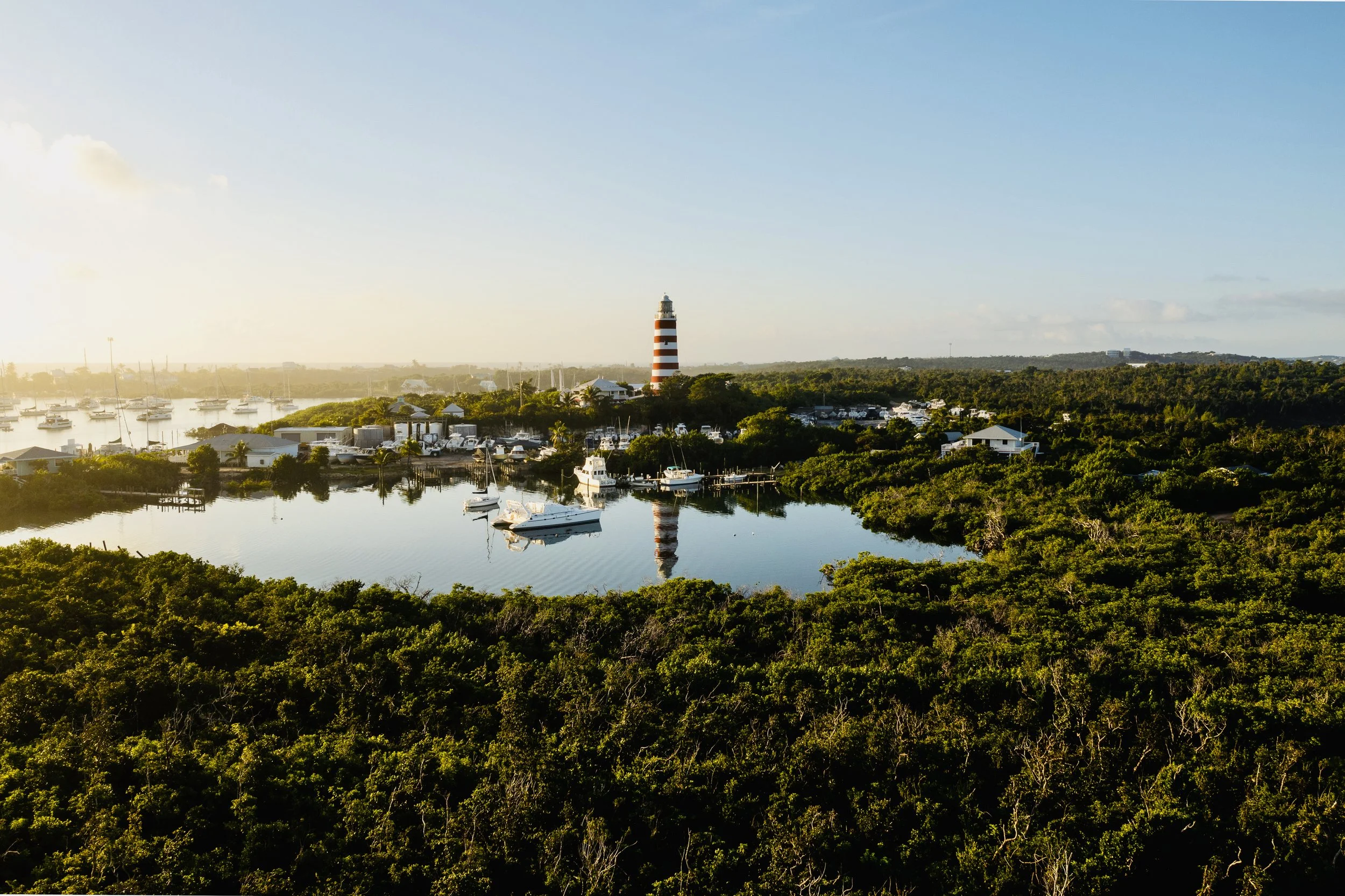 iStock-1451619053.jpg