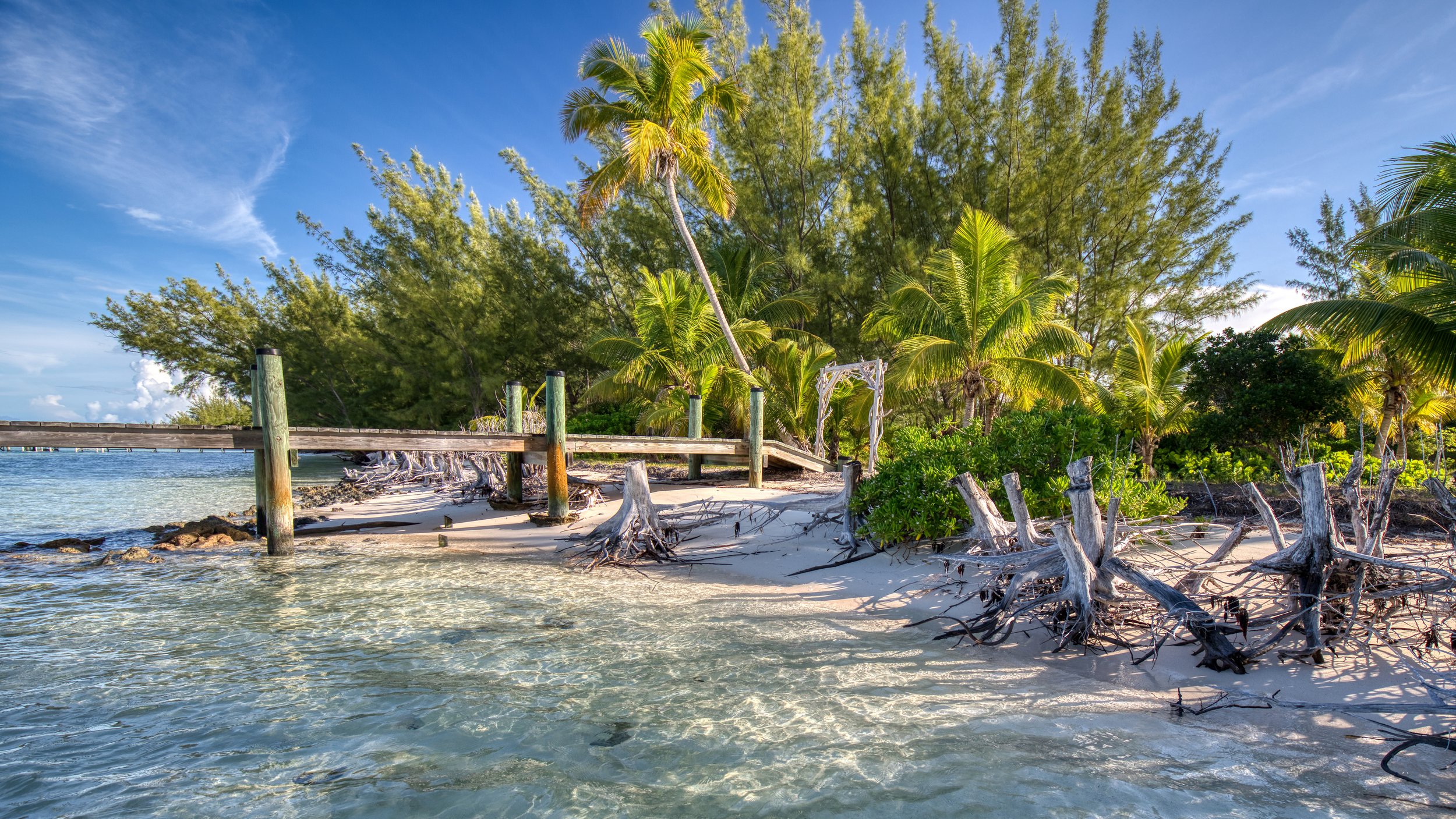 iStock-1319042389.jpg