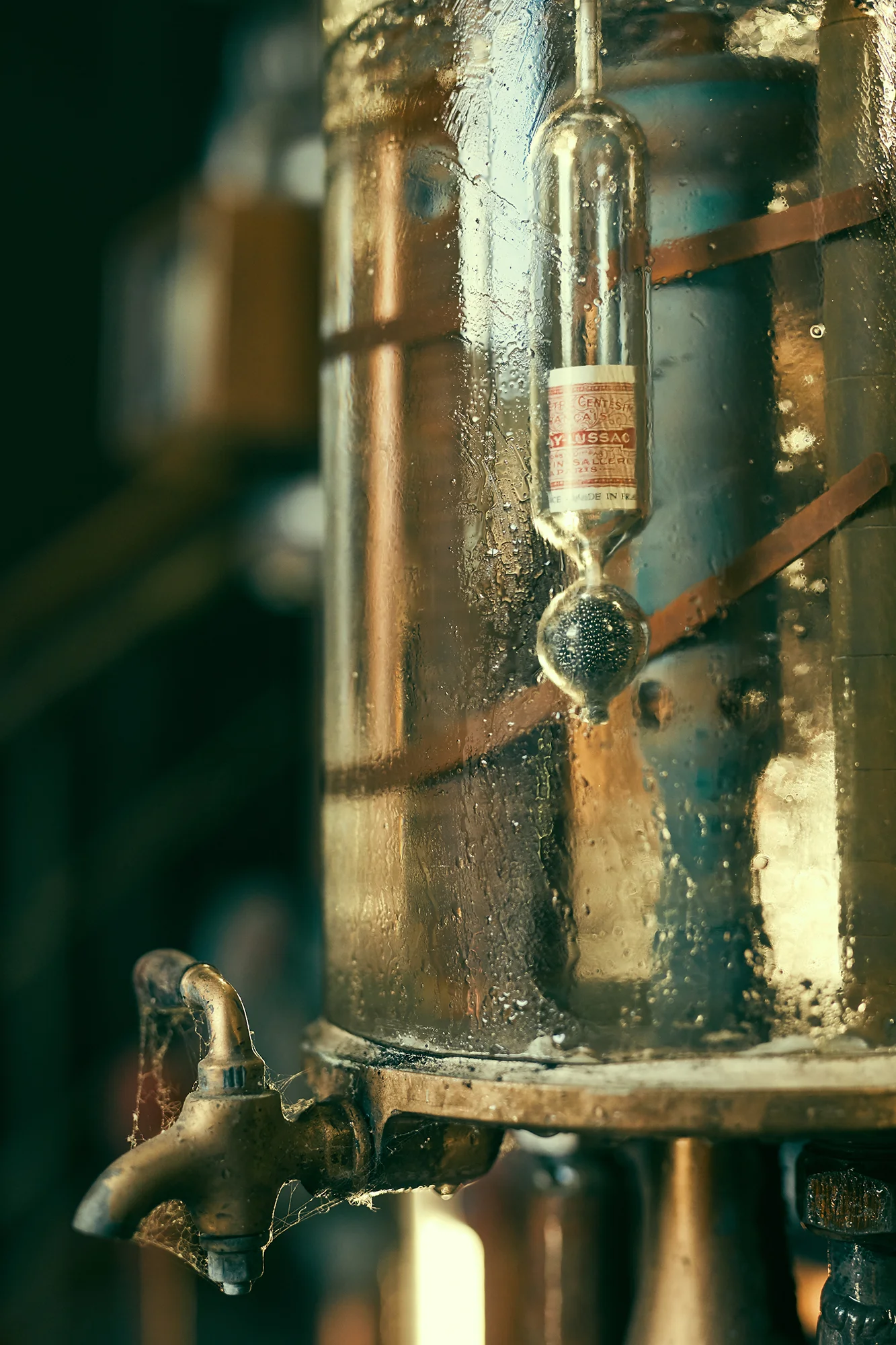SaveurMag_MBKoeth_RumRunner_1N3A9531.jpg