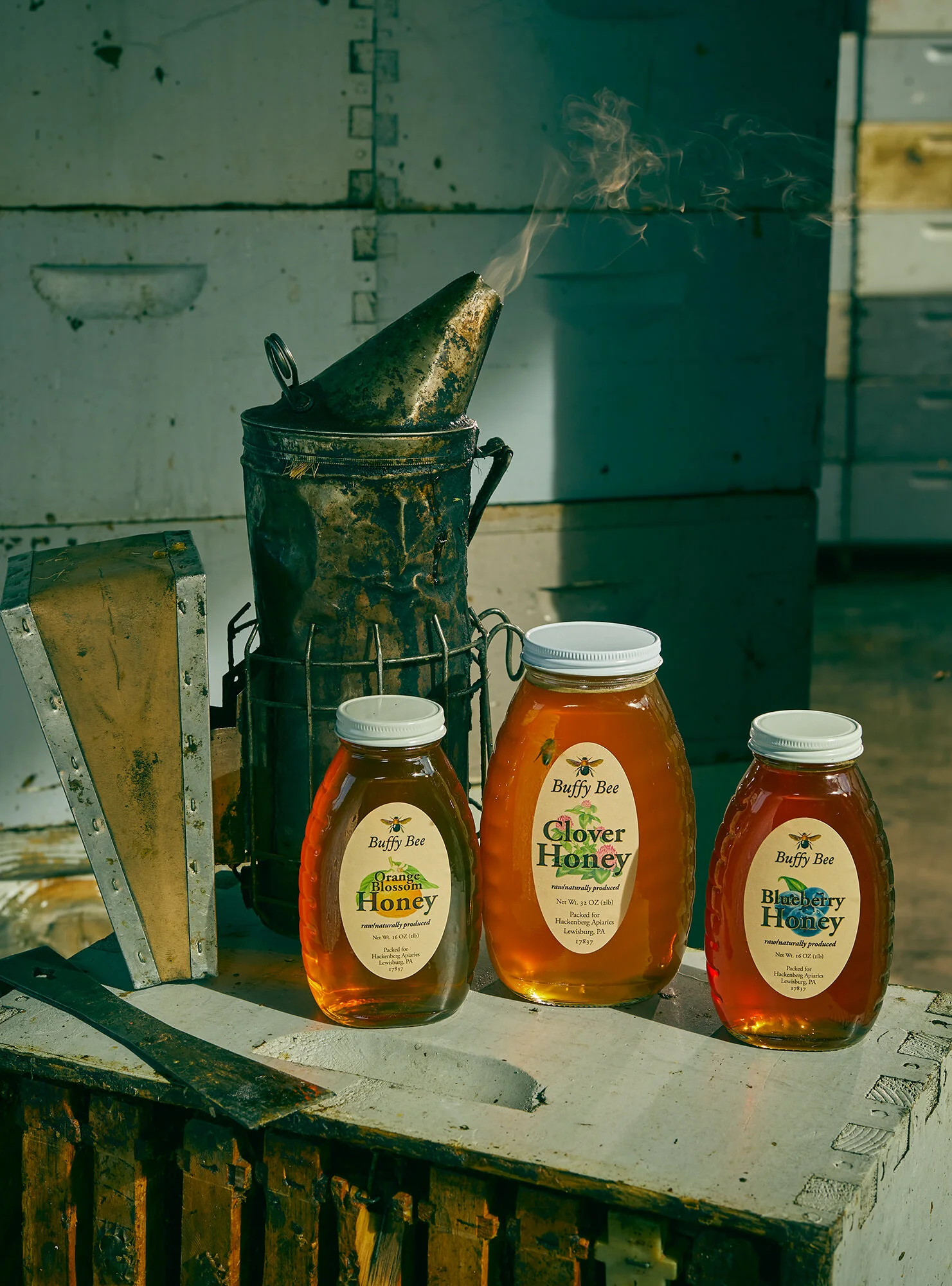 WEB_MaryBethKoeth_FlamingoMag_Bees0047.jpg