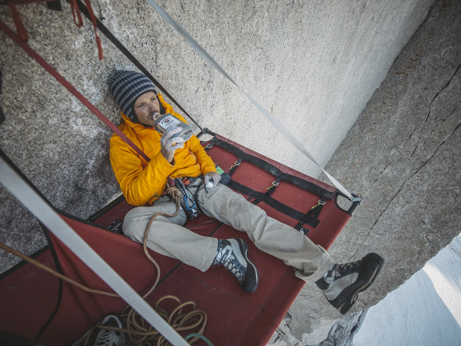 bugs web (47 of 98).jpg