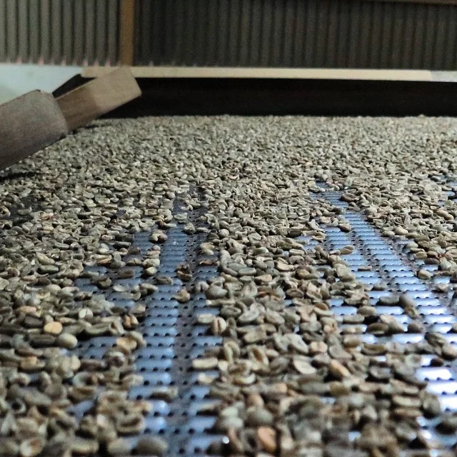 Gravitational grading of specialty coffee in Arusha. #speciality #coffee #africa #tanzania