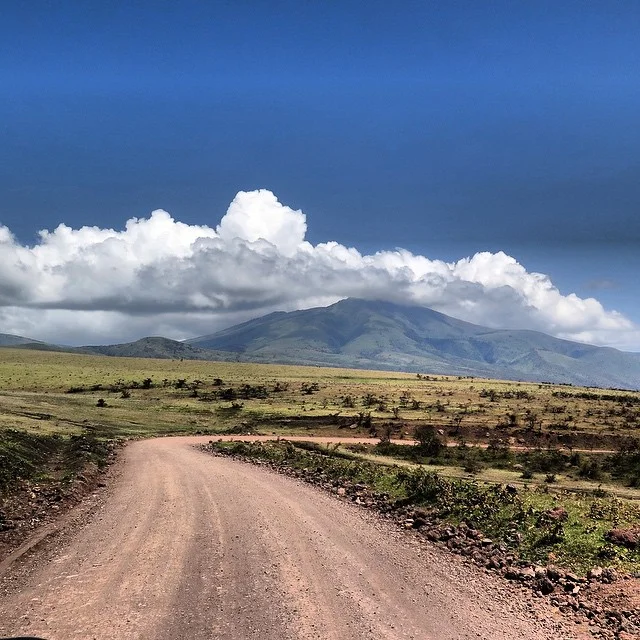 Over there is where black gold grows.... #tanzania #coffee #karatu #africa