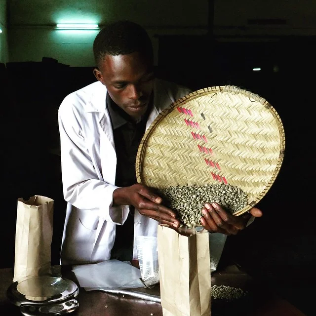Bagging coffee samples in Arusha #speciality #coffee #africa #tanzania #arusha