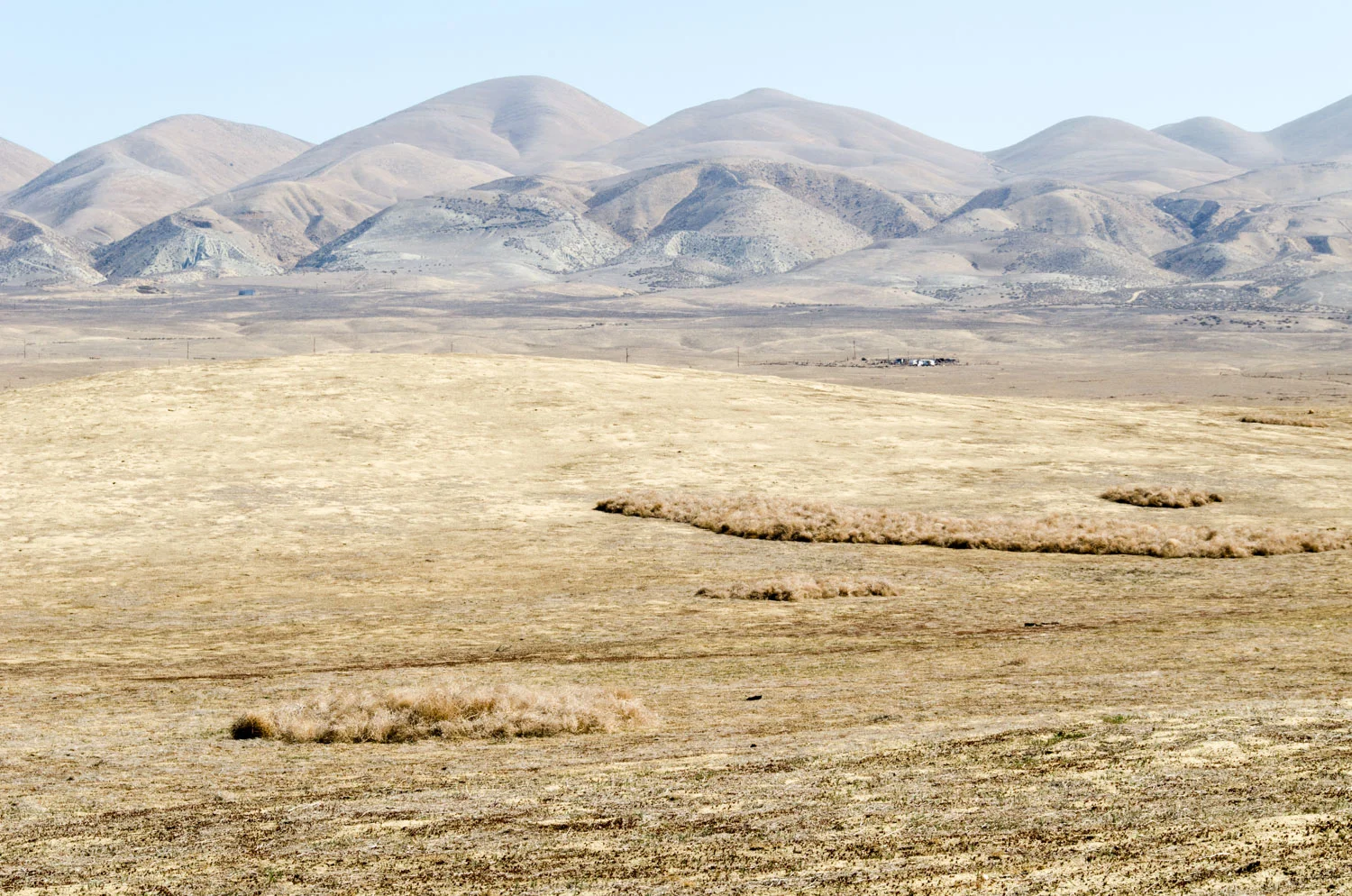 DSC_5566.jpg