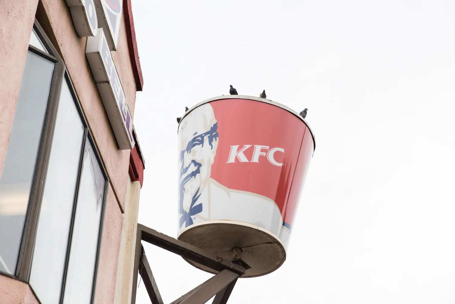 DSC_4651-Edit.jpg