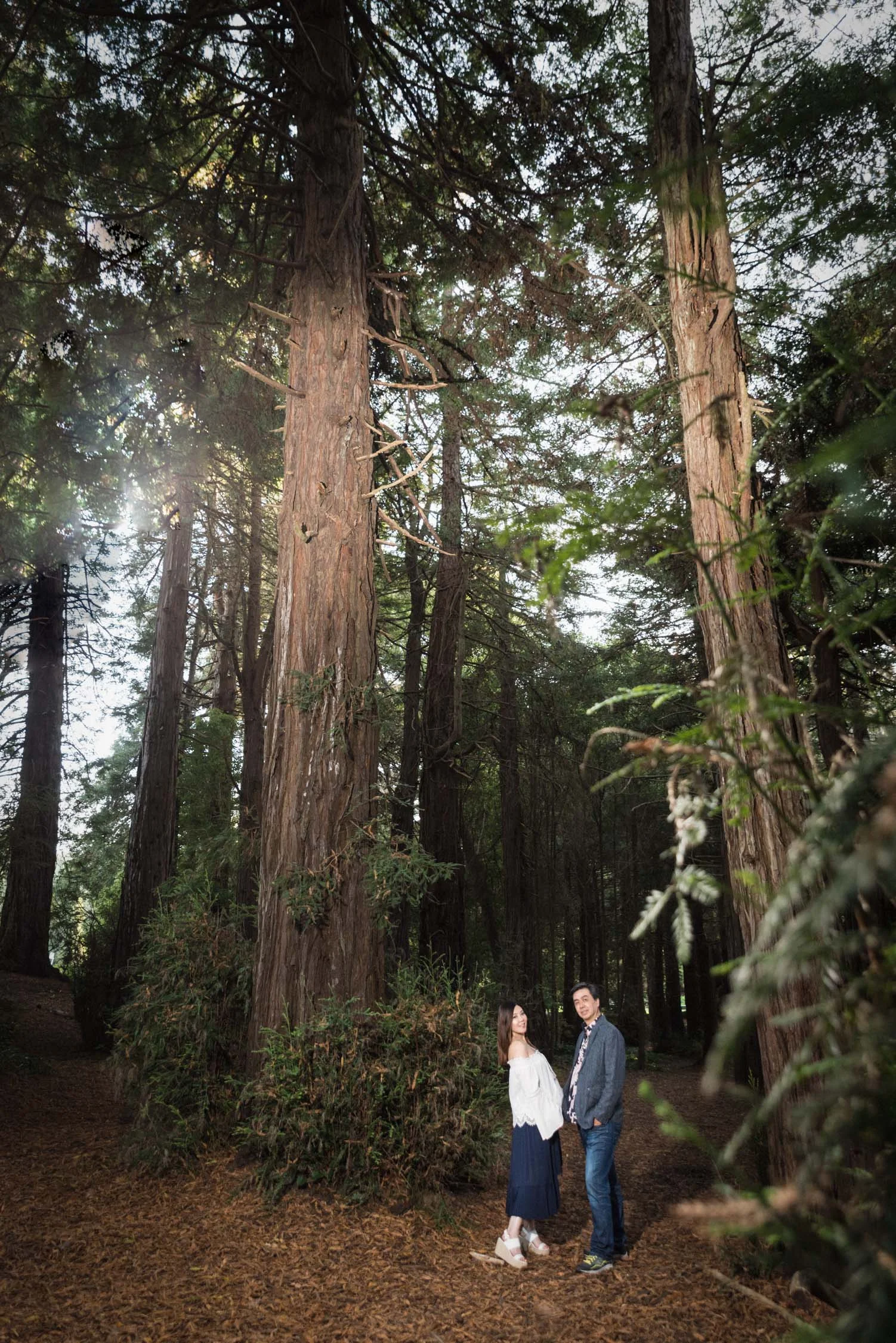 20_goldengatepark_maternity_photographer.jpg