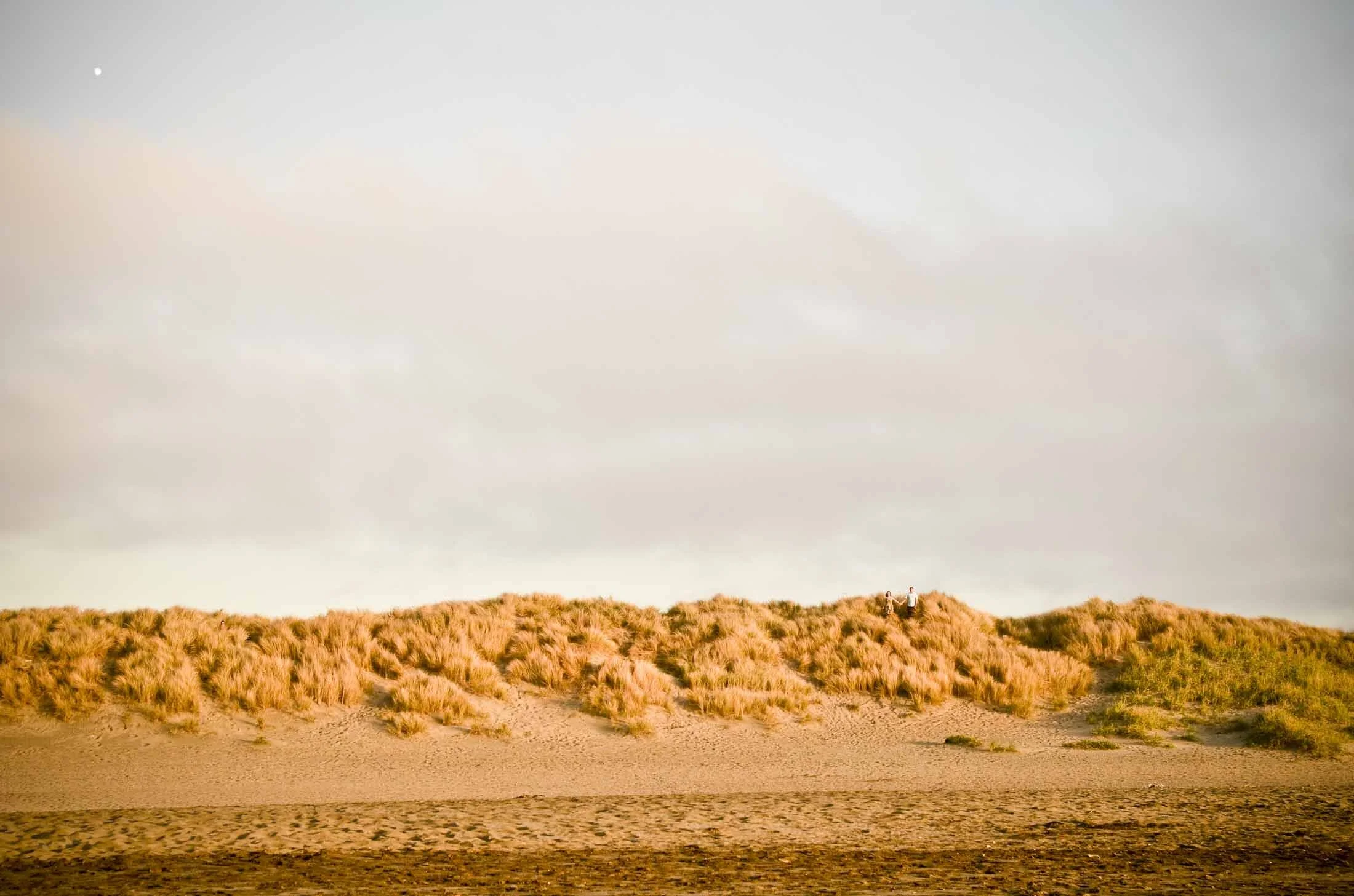 bay_area_wedding_photographer_005.jpg
