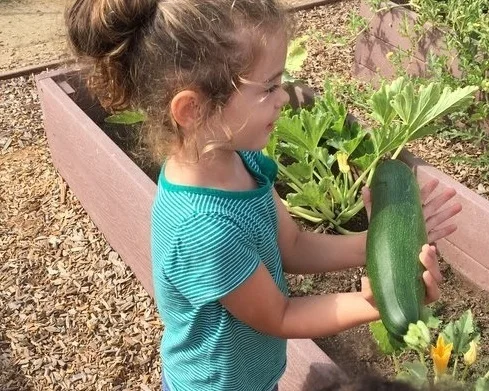 garden2.jpg
