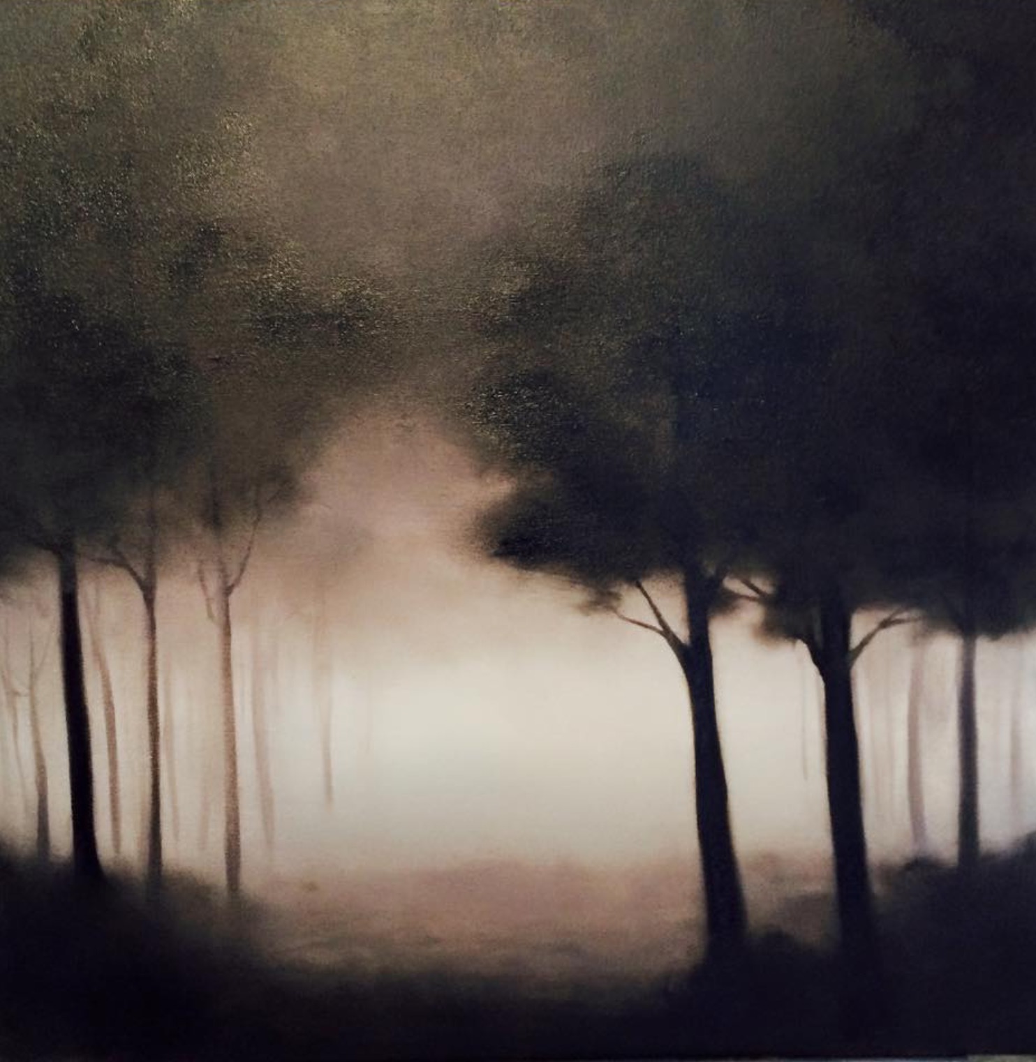 Dark Woods