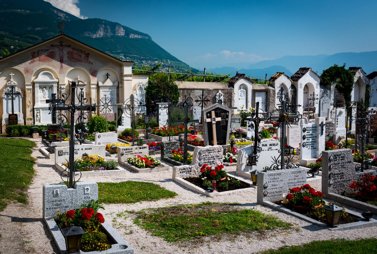 Italy : Alto Adige : Scenery in Margreid