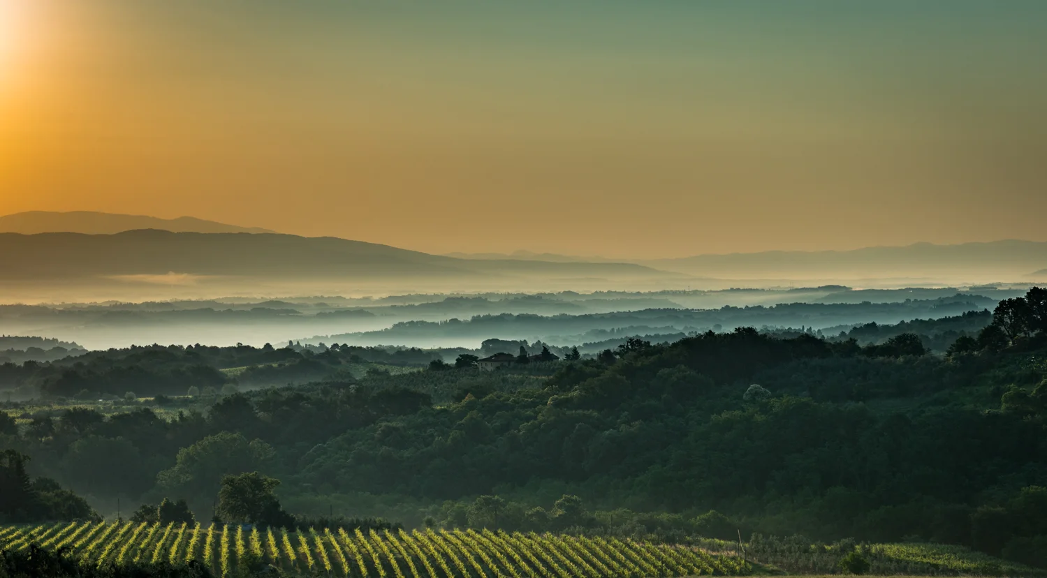 Italy : Tuscany : Sunrise in Gaiole in Chianti Classico