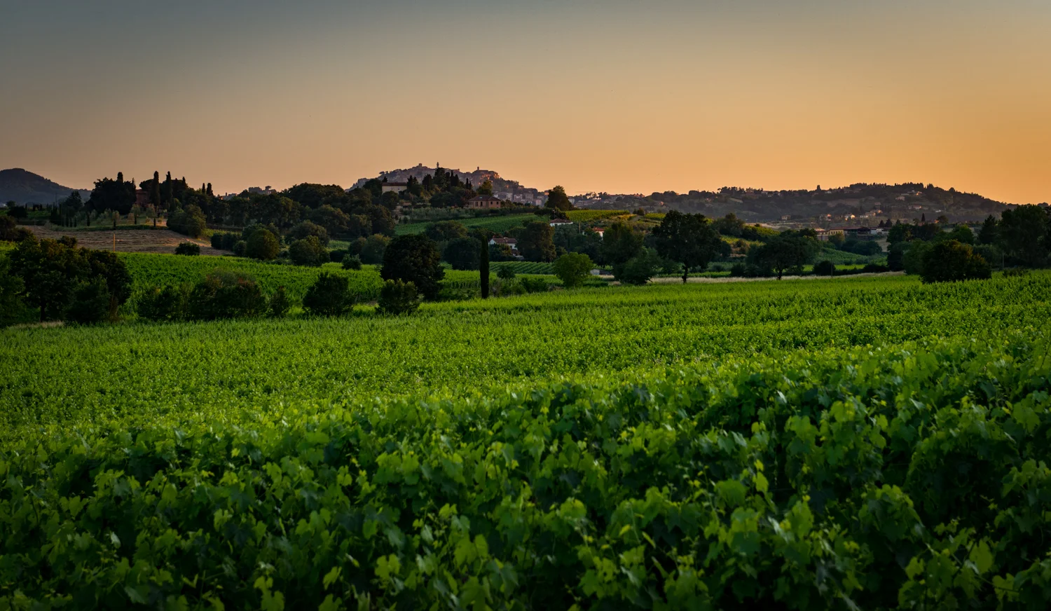 Italy : Tuscany : Scenery in Montepulciano
