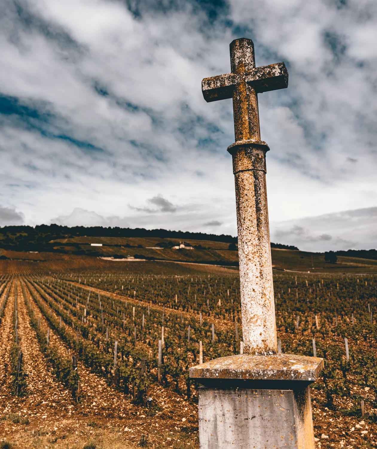 Burgundy : Cote de Nuits : Vosne-Romanée : La Tâche